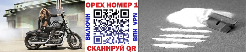 Купить где  Жиздра  Cocaine FishScale 