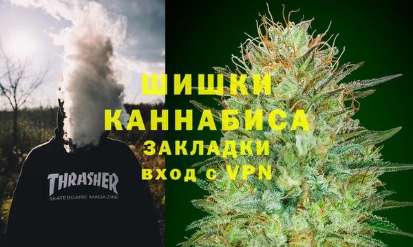 гидра Богданович