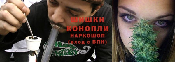 гидра Богданович