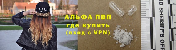 гидра Богданович
