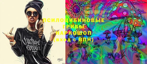 гидра Богданович