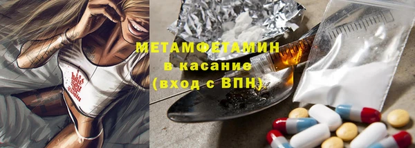 гидра Богданович