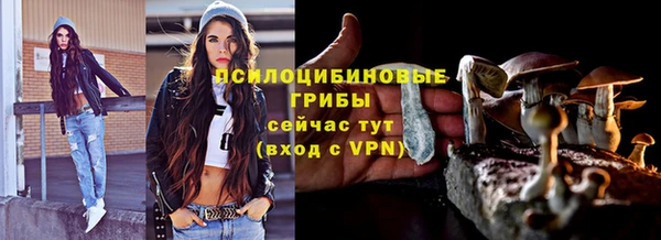 гидра Богданович