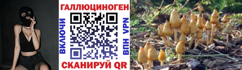 Купить  Жиздра  Псилоцибиновые грибы Psilocybe 