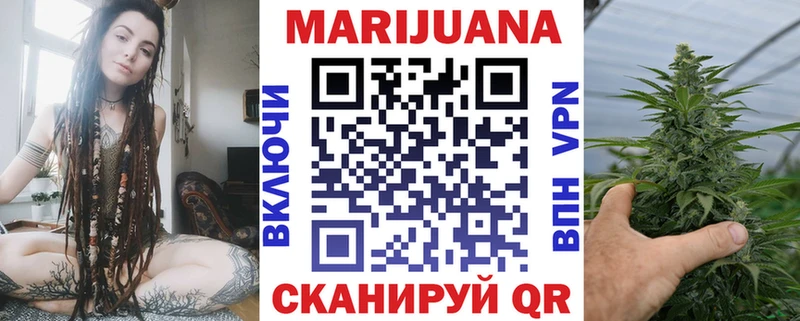 МАРИХУАНА план  Купить где  Жиздра 